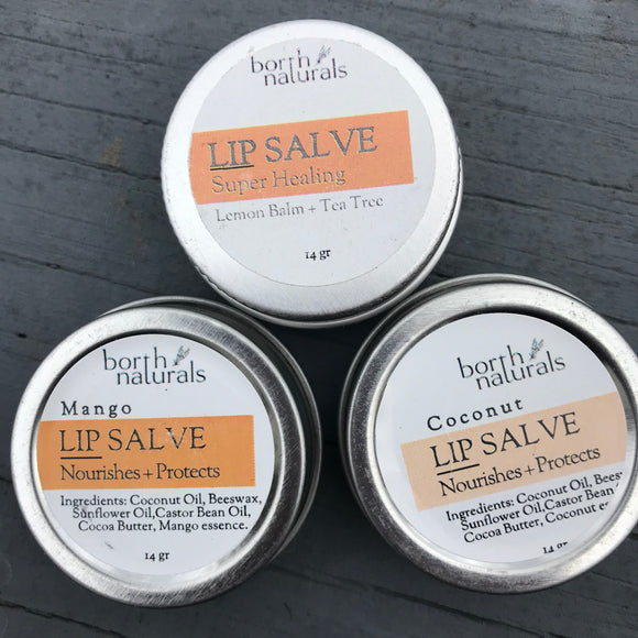 Lip Salve - Healing and Nourishing 4 varieties
