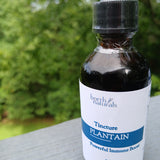 TINCTURE - PLANTAIN