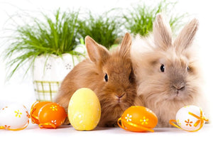 We don’t know eggsactly!
