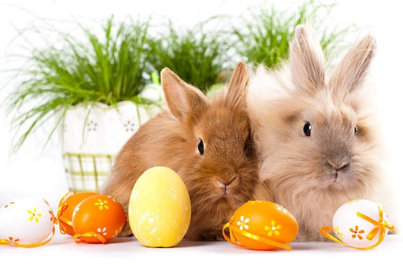 We don’t know eggsactly!