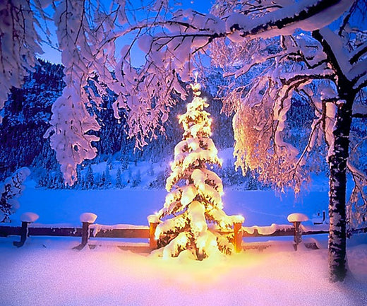 Christmas Blessings