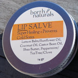 Lip Salve - Healing and Nourishing 4 varieties