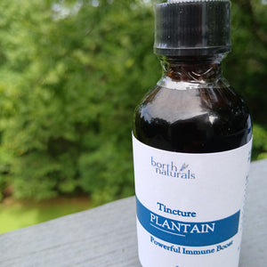 TINCTURE - PLANTAIN