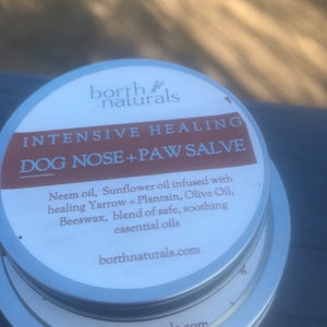 Dog Paw & Nose Salve - Lavender & Bergamot